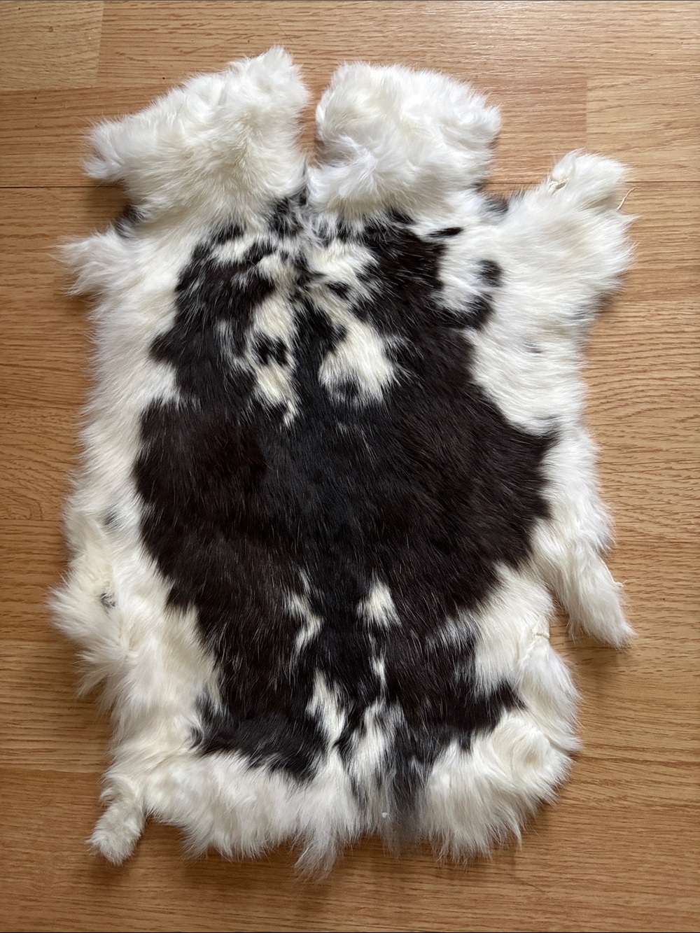 C0028 rabbit pelt